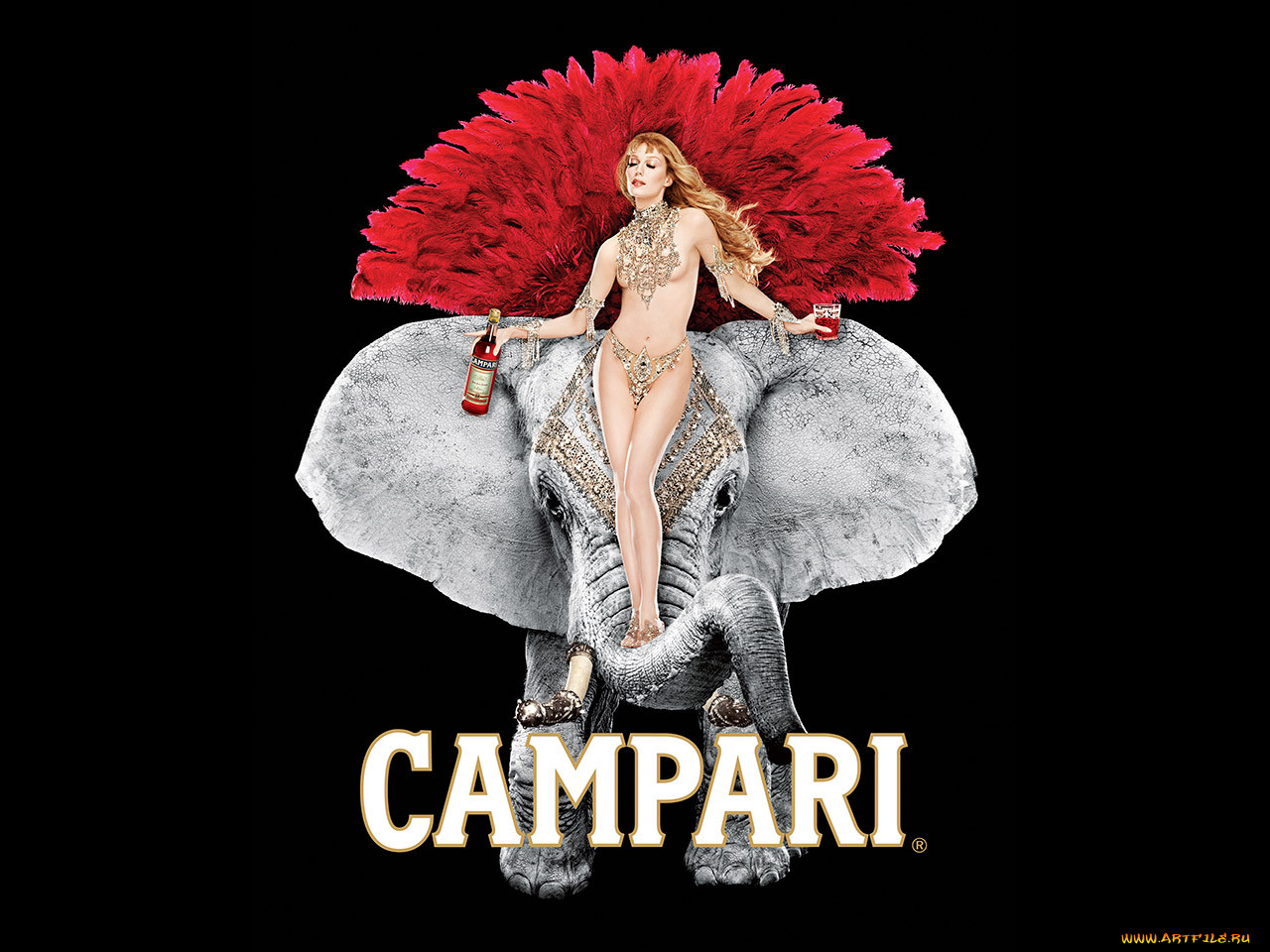 , campari